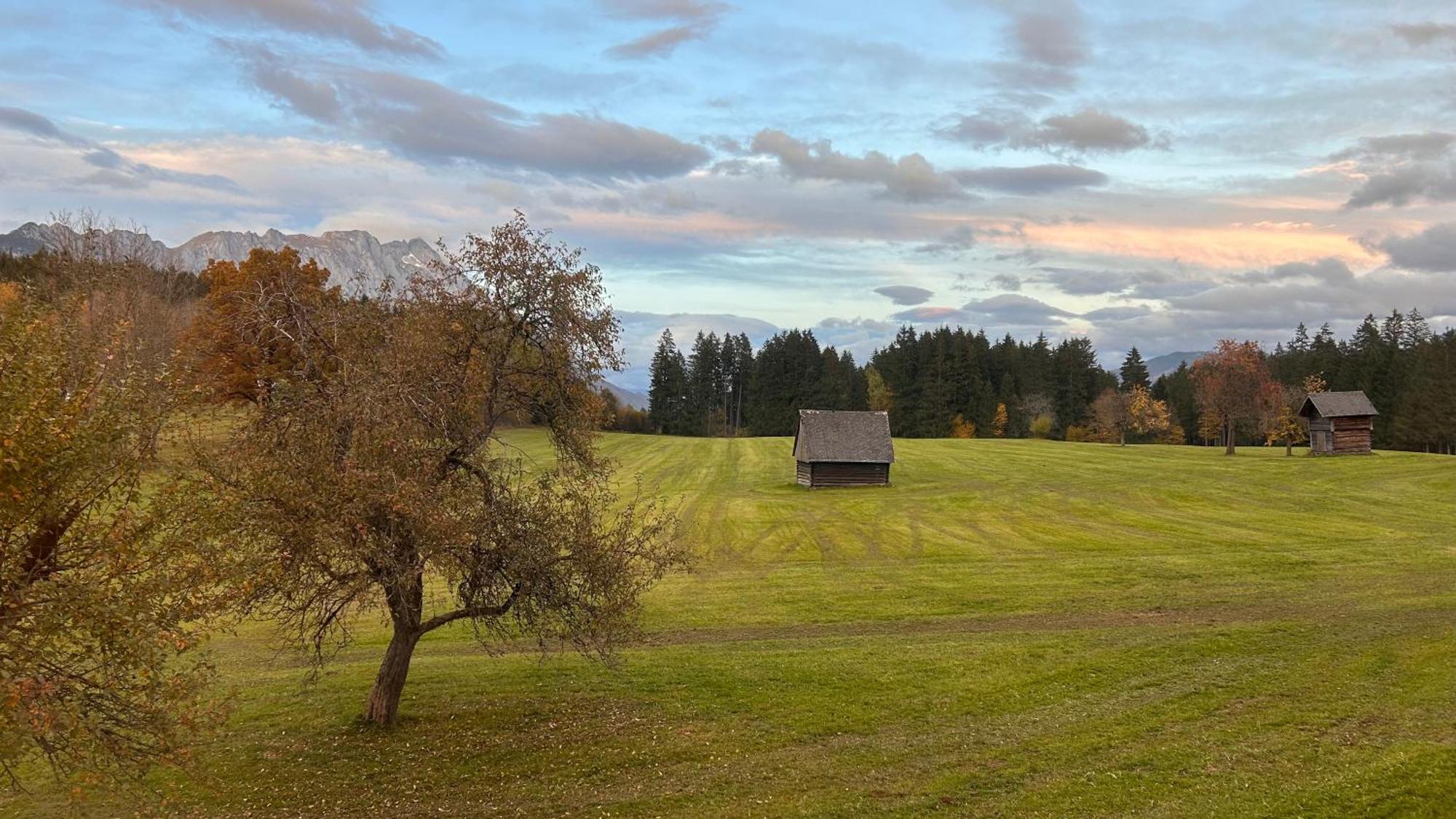 Pension Edelweiss Mitterberg Exterior photo