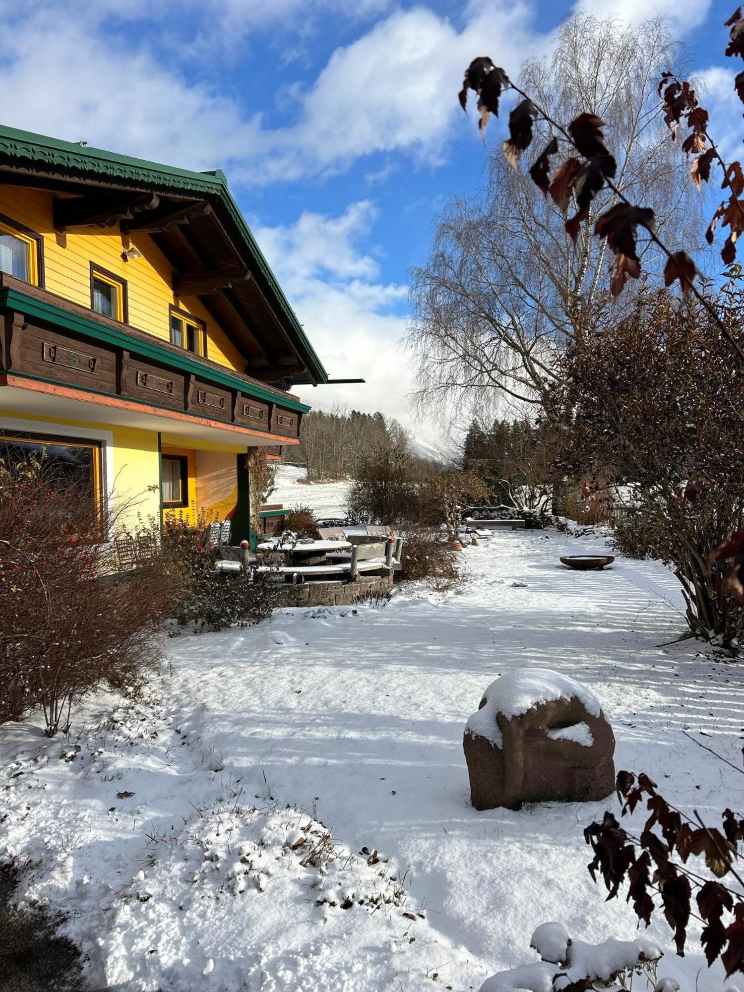 Pension Edelweiss Mitterberg Exterior photo