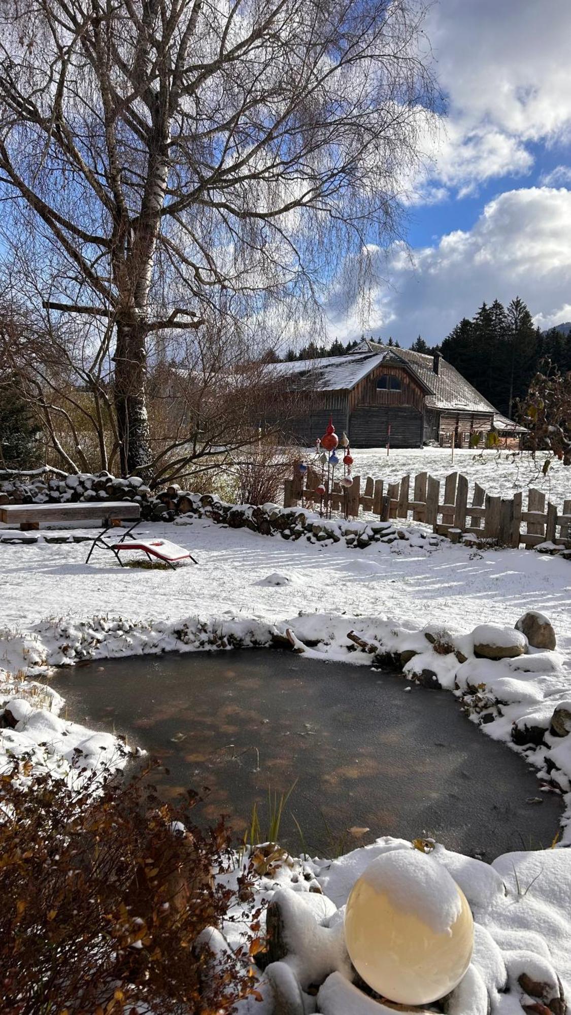 Pension Edelweiss Mitterberg Exterior photo