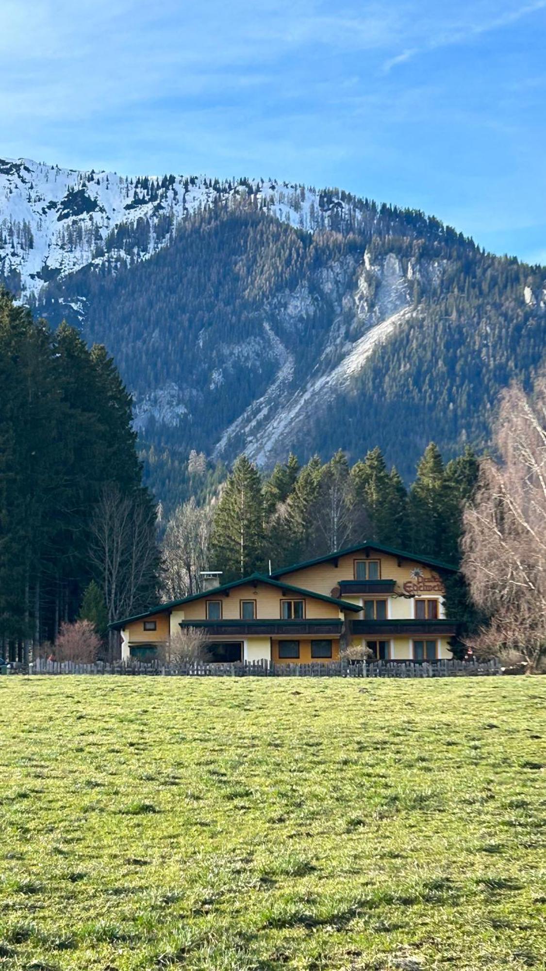 Pension Edelweiss Mitterberg Exterior photo